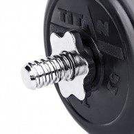 Гантель разборная 20 кг TITAN Barbell - d31